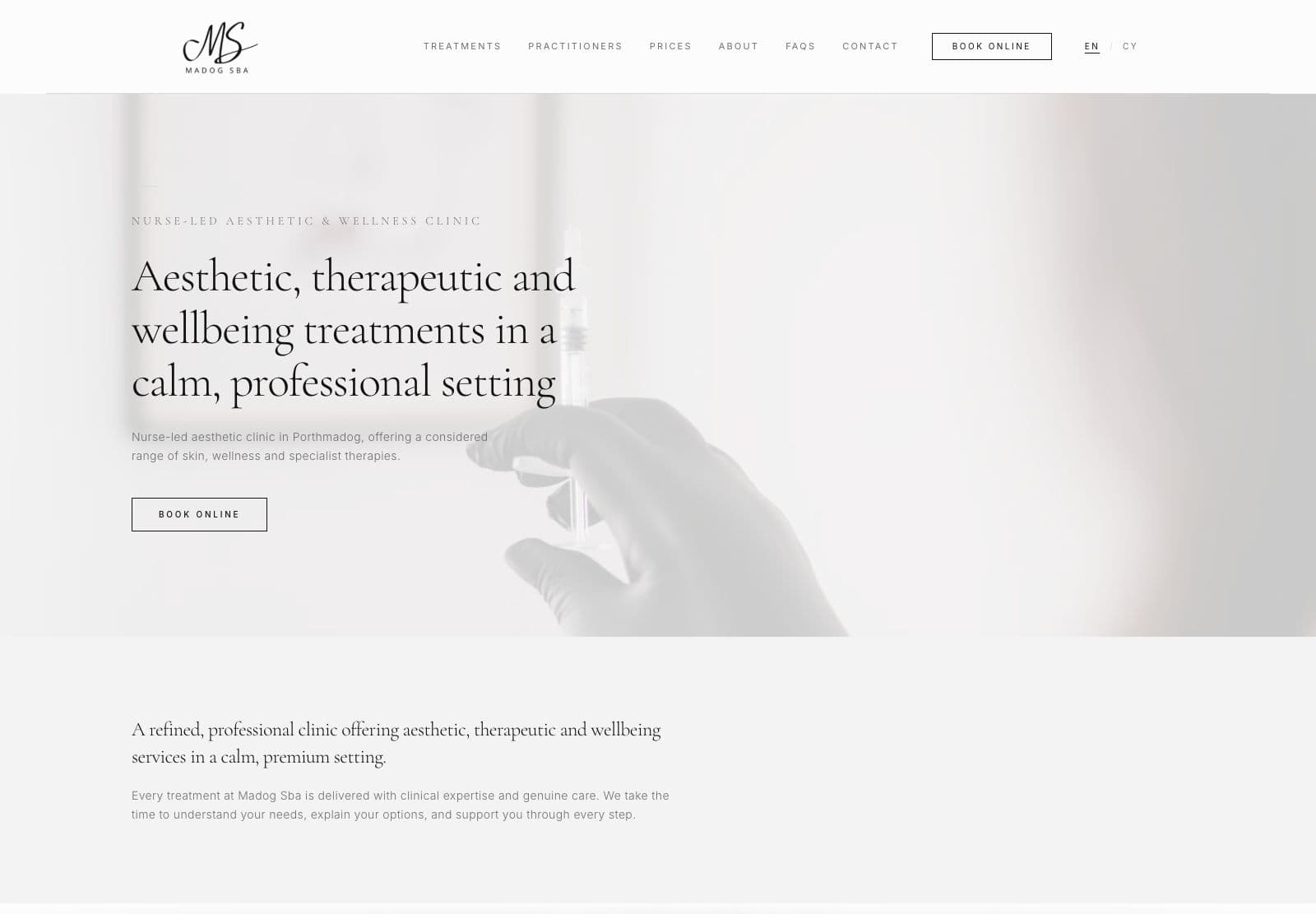 The Madog Sba website homepage, black and white with a script MS monogram and a serif headline over a pale soft-focus photograph